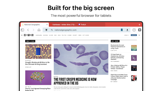 Screenshot image